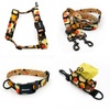 ACCESSORY KIT. Medium dog. Snail Family Psiakrew Series; Collar, Harness, Leash, Pouch