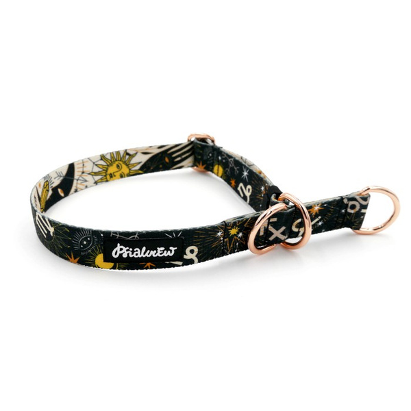 Halb-Klemmhalsband- Zodiak, 2,5 cm breit, für mittelgroße und größere Hunde, Golden-Beschläge, Psiakrew