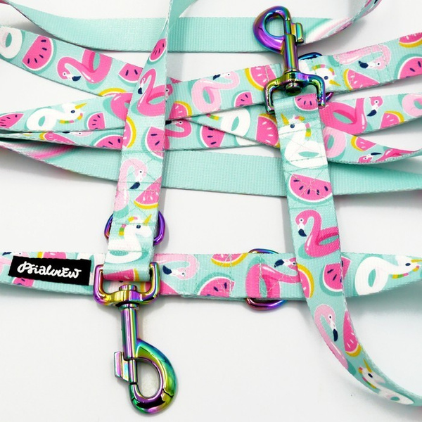 Dog Leash -Azure Pool, width 2.5 cm, 1"  wide, holo snap hook 8cm, Psiakrew