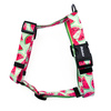 Harness for Dog, Model Watermelon Guard Harness, for medium dogs, black extras