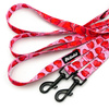 Hundeleine, lang, abnehmbar, verstellbar Lollipops Psiakrew, Breite 2 cm, Karabiner schwarz 7 cm