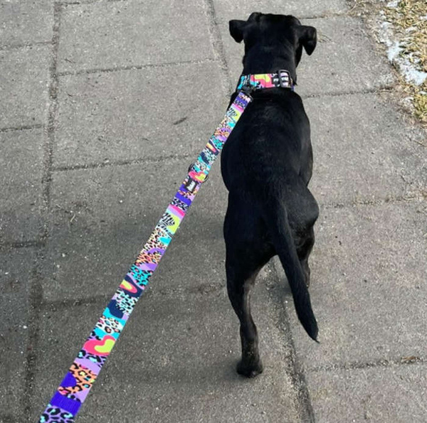 Dog Leash Crazy Leopard width 2.5 cm, 1" wide, snap hook black 8cm