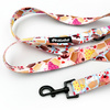 Dog Leash Hot Sweetness Psiakrew width 2.5 cm, 1" wide, black snap hook 6 cm