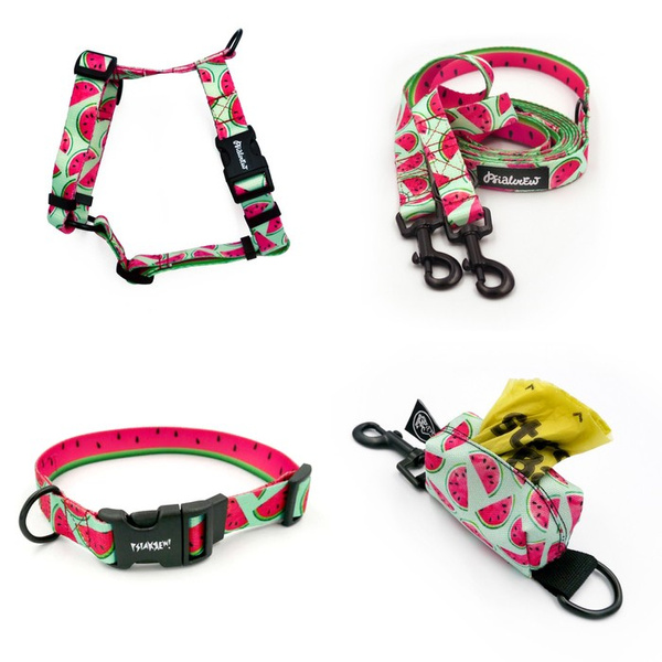 ACCESSORY KIT. Small dog. Watermelon Psiakrew Series; Collar, Harness, Leash, Pouch for poop bags