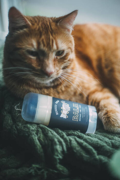 Zestaw Kosmetyków dla Psa RUGGED PAW szampon, tonik, balsam