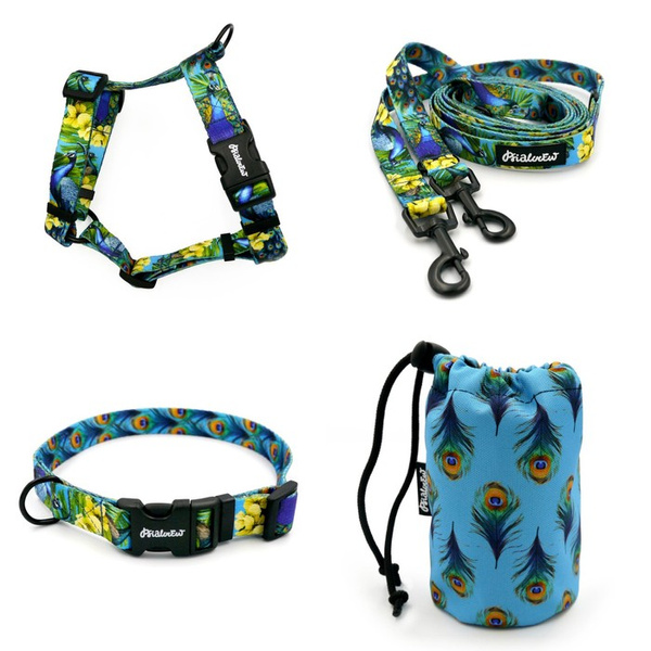 ACCESSORY KIT. Small dog. Peacock's Eye Psiakrew Series; Collar, Harness, Leash, Sachet for dog treats