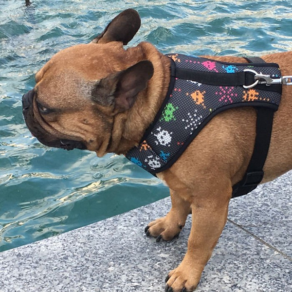 Dog Harness Invaders Psiakrew, Always Feeling Cool, Super Soft