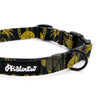 Dog Collar Psiakrew Donatella, 2 cm 0.78" wide, for smaller dogs black extras