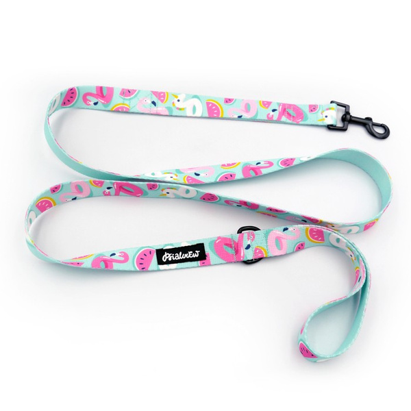 Dog Leash Azure Pool width 2.5 cm, 1"  wide, black snap hook 6 cm