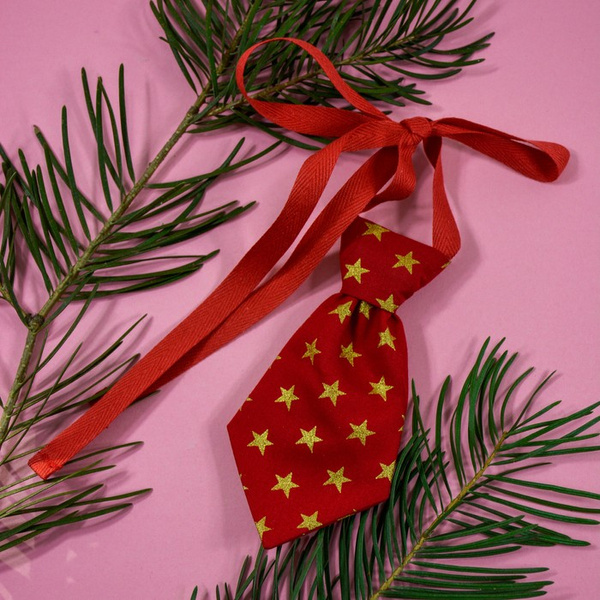 Red Christmas tie with gold stars for a dog Psiakrew