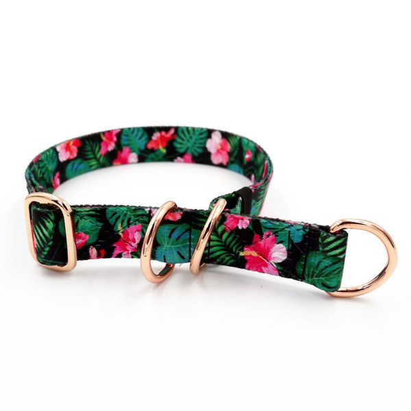 Half-choke collar Tropical Monstera, 2.5 cm wide, medium and big dogs, rose gold