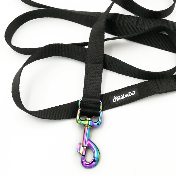 Lange Schwarze Hundeleine, wendbar, 2,5 cm, Holo-Beschläge, 8 cm, Psiakrew