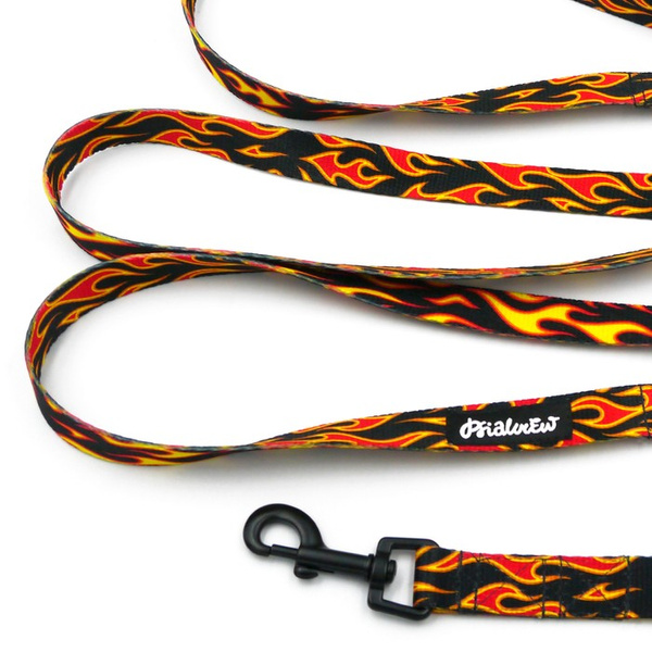 Long Dog Leash Dog on Fire Psiakrew width 2 cm (0.78"), black snap hook 6 cm