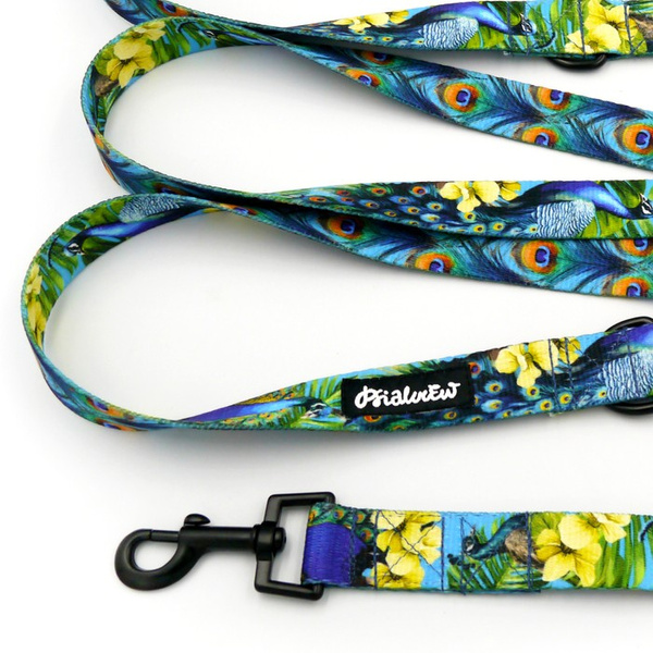 Hundeleine Peacock's Eye Psiakrew, Breite 2,5 cm, Karabiner 6 cm schwarz