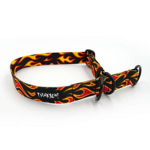 Half-choke collar Dog On Fire, 2.5 cm wide, medium and big dogs, black extras