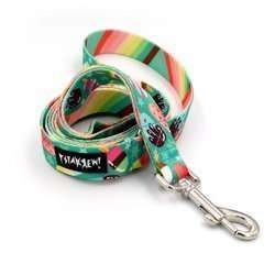 Dog Leash Ice Ice Baby width 2.5 cm, 1"  wide, snap hook glossy nickel 7cm