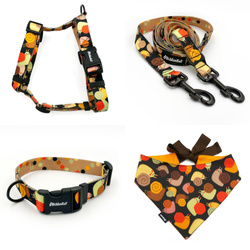 ACCESSORY KIT. Big dog. Snail Family Psiakrew Series; Collar, Harness, Leash, Bandana