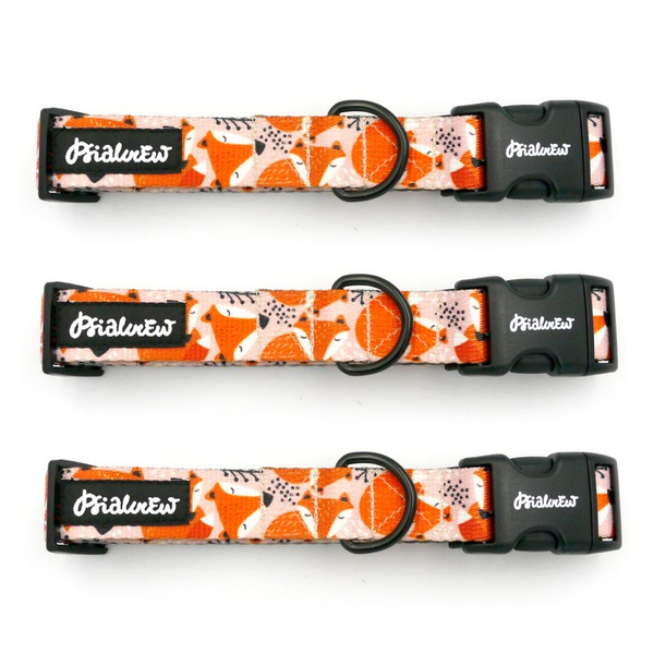 Dog Collar Foxy Lady Psiakrew 2.5 cm wide, black extras