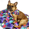 Premium Mat Plaid Blanket for the dog, Crazy Leopard Psiakrew Design