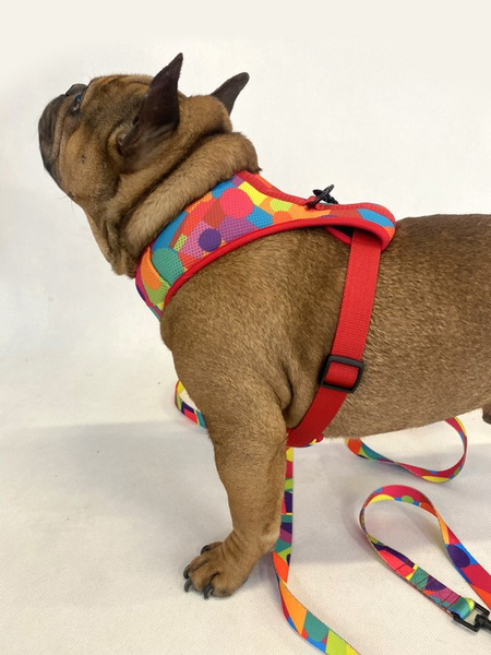 Dog Harness Kaleidoscope Psiakrew, Always Feeling Cool, Super Soft