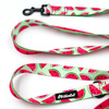 Smycz spacerowa miejska dla Psa Watermelon Psiakrew, szerokość 2,5 cm, czarny karabińczyk 6cm