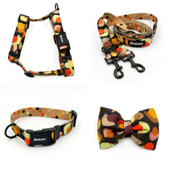 ACCESSORY KIT. Medium dog. Psiakrew Snail Family Series; Collar, Harness, Leash, Bow tie