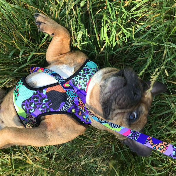 Dog Harness Crazy Leopard, Always Feeling Cool, Super Soft Psiakrew
