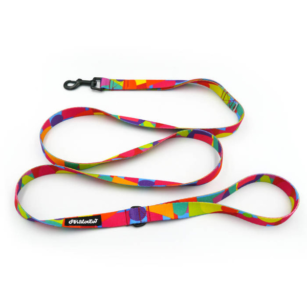 Walking leash for Dog Kaleidoscope Psiakrew, width 2 cm, black snap hook 6 cm