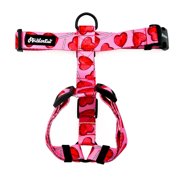 Guard Harness for Dog Lollipops Psiakrew, black extras