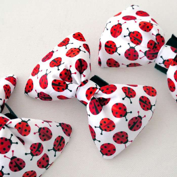 Dog Bow Tie Ladybug, pet bowtie