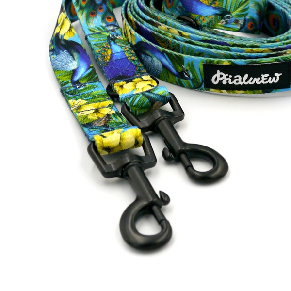 Hundeleine Peacock's Eye Psiakrew Breite 2 cm, schwarzer Karabinerhaken 6 cm