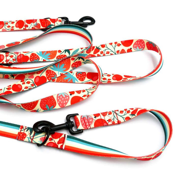 Dog Leash Fruit Jelly width 2.5 cm, 1" wide, black snap hook 8cm