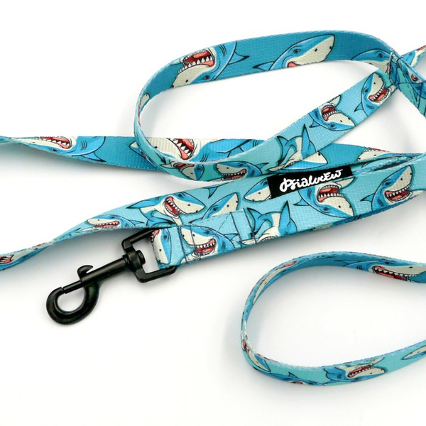 Laufleine für Hund Shark Psiakrew, Breite 2 cm, schwarzer Karabinerhaken 6 cm