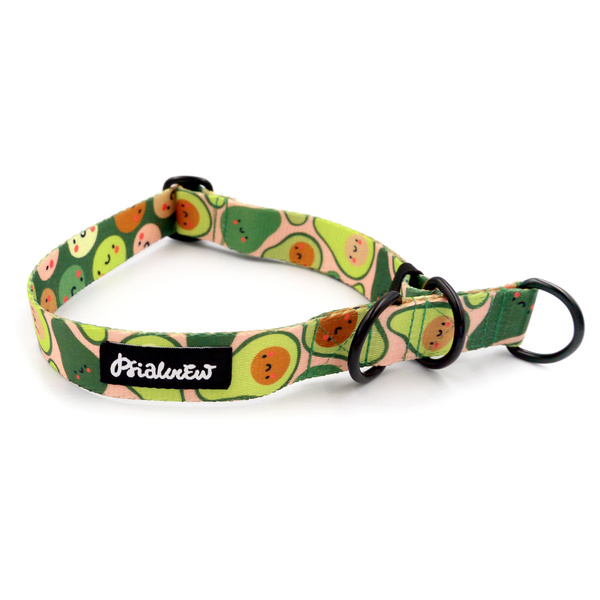 Obroża półzaciskowa Guacamole Time Psiakrew 2,5 cm, dla średnich i większych psów, czarne dodatki