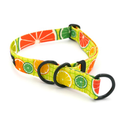 Halb-Klemmhalsband Lemonade Psiakrew, 2,5 cm breit, für mittelgroße und größere Hunde, Schwarz-Beschläge