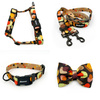 ACCESSORY KIT. Medium dog. Psiakrew Snail Family Series; Collar, Harness, Leash, Bow tie