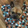 Waterproof Mat for the dog, puppy, cat, Wild Animals Psiakrew Design