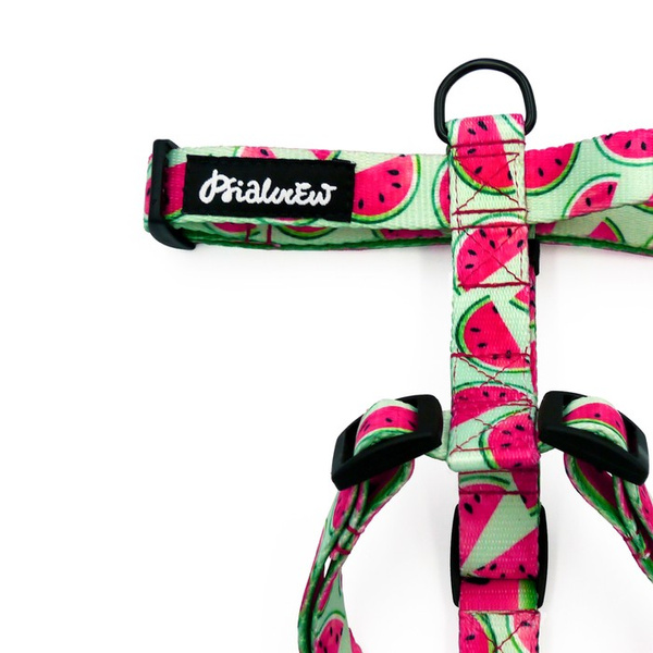 Małe Szelki dla Psa Typu Guard w arbuzy Watermelon, taśma 2 cm, okucia czarne