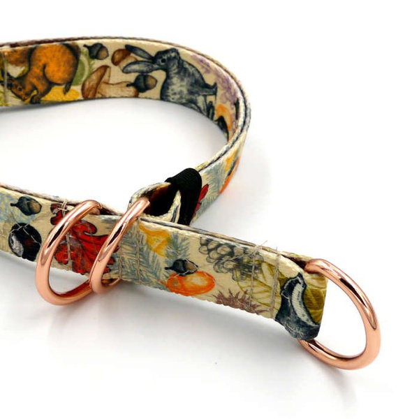 Half-choke collar Forest Treasures, 2.5 cm wide, medium and big dogs, rose gold