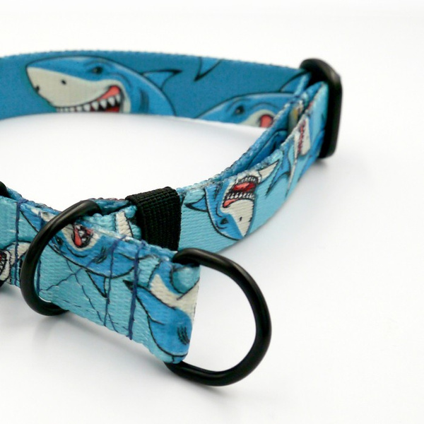 Half-choke collar Shark, 2 cm wide, for small dogs, black extras