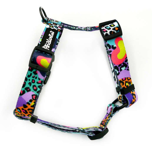 Małe Szelki dla Psa Guard, Crazy Leopard, dla mniejszych psów, taśma 2 cm, czarne okucia