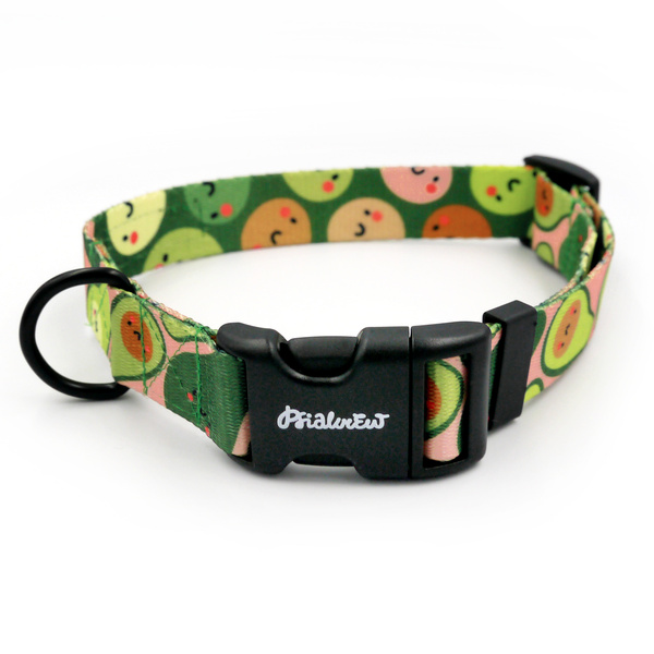 Dog Collar Guacamole Time Psiakrew 2.5 cm 1"  wide, black fittings