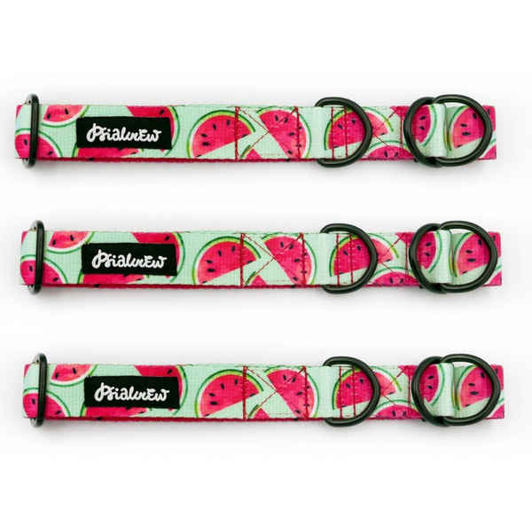 Half-choke collar Watermelon, 2.5 cm wide, medium and big dogs, black extras