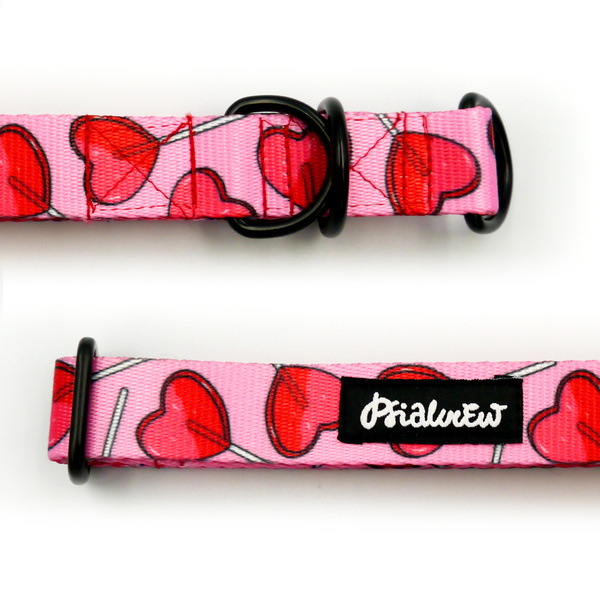 Half-choke collar Lollipops Psiakrew, 2.5 cm wide, medium and big dogs, black extras