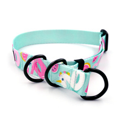 Halb-Klemmhalsband Azure Pool Psiakrew, 2,5 cm breit, für mittelgroße und größere Hunde, Schwarz-Beschläge