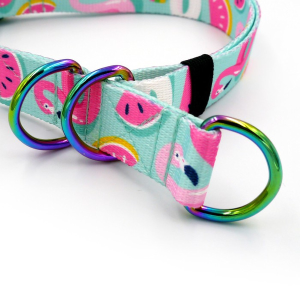 Halb-Klemmhalsband- Azure Pool, 2,5 cm breit, für mittelgroße und größere Hunde, Holo-Beschläge, Psiakrew