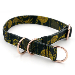 Half-choke collar Donatella, 2 cm wide, for small dogs, rose gold extras