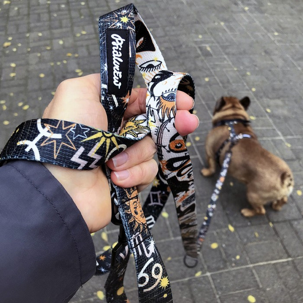 Hundeleine Zodiak Psiakrew, Breite 2,5 cm, Karabiner 6 cm schwarz