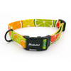 Dog Collar Lemonade Psiakrew, 2 cm 0.78"  wide, for smaller dogs