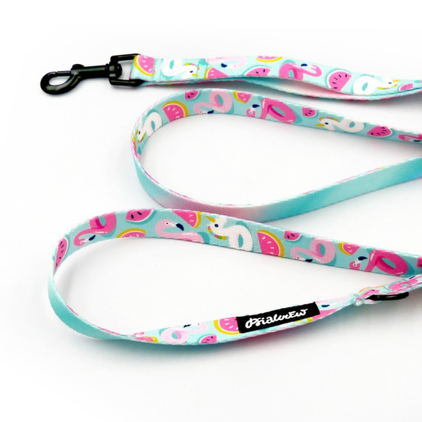 Laufleine für Hund Azure Pool Psiakrew, Breite 2 cm, schwarzer Karabinerhaken 6 cm